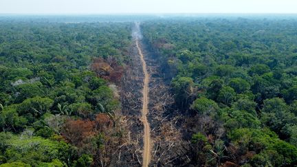 Une zone victime de déforestation dans l'Etat de l'Amazonas, au Brésil, le 16 septembre 2022. (MICHAEL DANTAS / AFP)