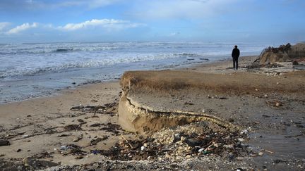 Les dunes s'écroulent avec les grandes marées. Recul du trait de côte sur le littoral de l'île d'Oleron. (XAVIER LEOTY / MAXPPP)