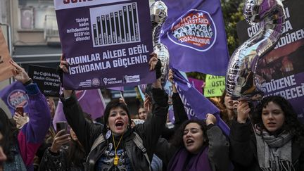 Une manifestante brandit une pancarte : "Les femmes sont autonomisées grâce à l'emploi, pas au sein de la famille", lors d'une manifestation marquant la Journée internationale pour l'élimination de la violence à l'égard des femmes, à Istanbul, le 24 novembre 2024. (KEMAL ASLAN / AFP)