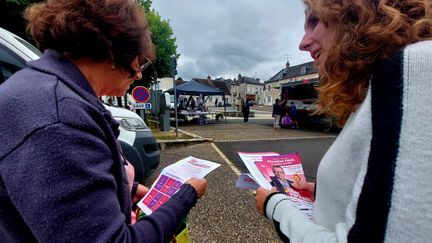 Une militante tracte en faveur de Christian Paul, candidat socialiste dans la 3e circonscription de la Nièvre. (VALENTIN DUNATE - FRANCEINFO - RADIO FRANCE)