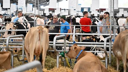 Des éleveurs de bovins au sommet de l'élevage à Cournon d'Auvergne le 3 octobre 2023 (BOILEAU FRANCK / MAXPPP)