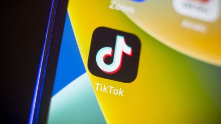 L'application TikTok sur un téléphone. (JAAP ARRIENS / NURPHOTO)