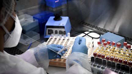 Des échantillons de tests PCR pour le Covid-19 analysés dans un laboratoire de Neuilly-sur-Seine (Hauts-de-Seine), en septembre 2020. (ALAIN JOCARD / AFP)