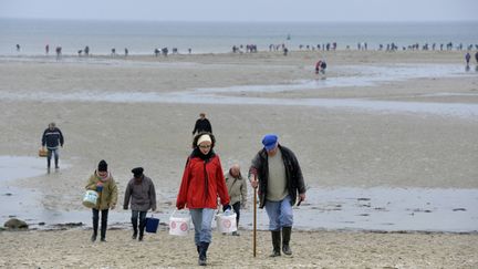 &nbsp; (Les grandes marées sur la plage de Granville  © MaxPPP)