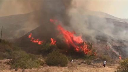 Incendies en Grèce : un avion bombardier d'eau s'est écrasé, deux pilotes sont décédés (FRANCE 3)