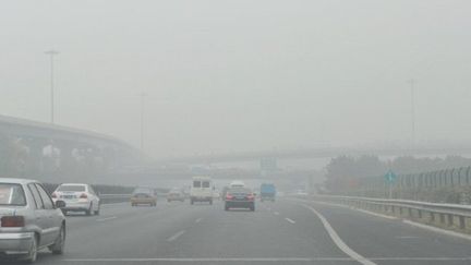 Photo prise le 1er novembre 2011 à Pékin. (STR / AFP)