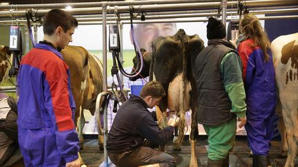 La traite de vaches au salon de l'agriculture, à Paris, le 26 février 2016. (MAXPPP)