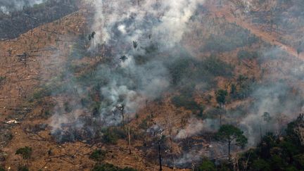 Une vue aérienne d'une parcelle forestière à Boca do Acre au Brésil, le 24 août 2019. (LULA SAMPAIO / AFP)