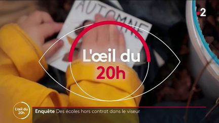 L'oeil du 20H 3 novembre