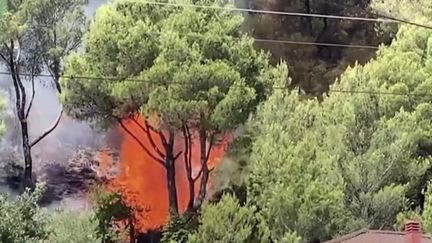 L'Albanie est touchée à son tour par des incendies. (FRANCEINFO)