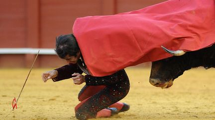 Le matador mexicain Joselito Adame est encorm&eacute; par un taureau lors d'une corrida &agrave; Seville (Espagne), le 9 mai 2014. (GOGO LOBATO / AFP)