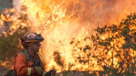 Photo de l'incendie qui touche le comté de Colusa en Californie le 7 août 2018 (TERRY SCHMITT / MAXPPP)