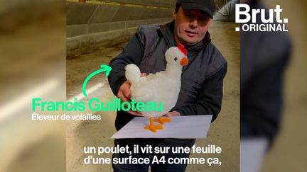 Éleveur, Francis n'a pas voulu céder aux industriels et a refusé de faire de l'élevage intensif. En guerre contre le système agroalimentaire, il témoigne.