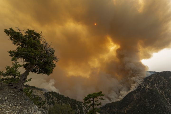 Le feu avance vers la forêt au nord de Monrovia, en Californie, le 10 septembre 2020. (DAVID MCNEW / GETTY IMAGES NORTH AMERICA)