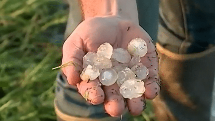 Orages : le cognac durement touché