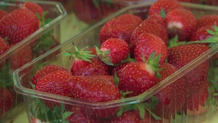 Fruits et légumes : les prix sont de nouveau abordables (FRANCE 2)