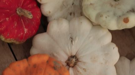 Cuisine : la courge, le légume star de l'automne