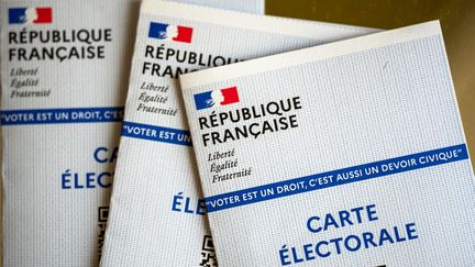 Les élections législatives, se dérouleront les dimanches 12 et 19 juin 2022, l'occasion pour les parties de l'opposition de participer au "troisième tour de la présidentielle".&nbsp; (ALINE MORCILLO / HANS LUCAS / AFP)