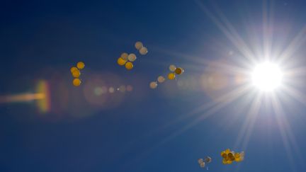 Un Canadien a été condamné à payer une amende de 3 550 euros pour avoir survolé la ville de Calgary assis dans une chaise de jardin suspendue à 110 ballons gonflés à l'hélium en juillet 2015, jeudi 23 décembre. &nbsp; (VINCENZO PINTO / AFP)