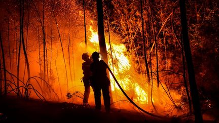 Les pompiers luttent contre un feu de forêt près de Bessèges, dans le Gard, le 7 juillet 2022. (SYLVAIN THOMAS / AFP)