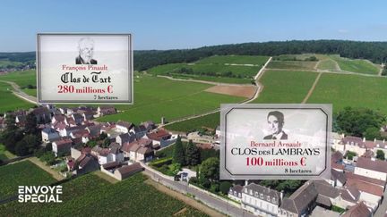 Les vignes de Bourgogne, terrain de jeu des milliardaires du monde entier (ENVOYÉ SPÉCIAL  / FRANCE 2)