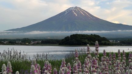 Le mont Fuji et le lac Kawaguchi (Japon)
 (Kazuhiro Nogi / AFP)