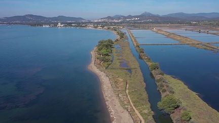 Environnement : lutter contre l'érosion pour protéger les salins sur la Côte d'Azur