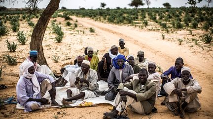 "Les agriculteurs ont toujours innové. Ce dont ils ont besoin, ce sont des politiques qui les protègent et renforcent leur résilience face au changement climatique. Ils ont besoin d'accéder à l'information, aux technologies et à l'investissement et ils doivent participer aux discussions portant sur l'innovation", a déclaré Maria Helena Semedo, directrice générale adjointe à la FAO. (LUIS TATO/FAO/AFP)