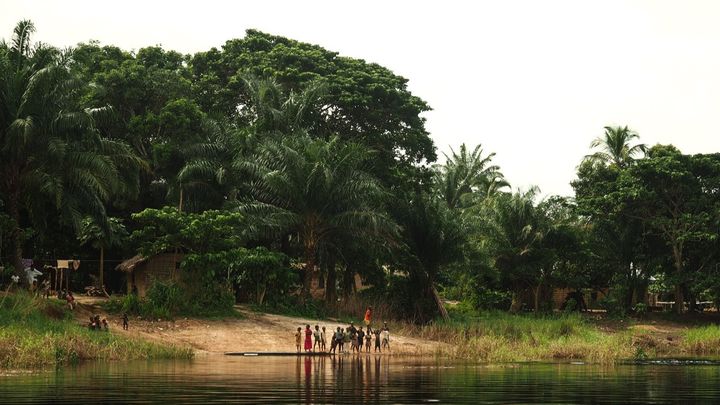 Paysage de la région du Lac Télé en République du Congo. (Lac Télé Community Reserve)