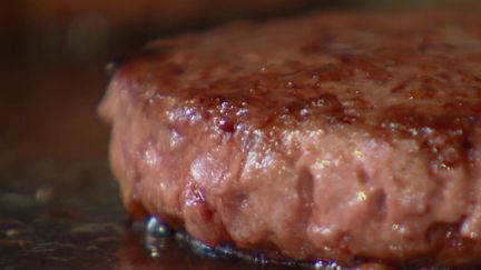 Quand vous faites vos courses, vous pouvez choisir entre acheter un steak ou un steak végétal si vous êtes végétarien. Le gouvernement français comptait interdire par décret l'utilisation des termes de boucherie pour ces produits. La Cour de Justice de l'Union européenne en a décidé autrement. (France 2)