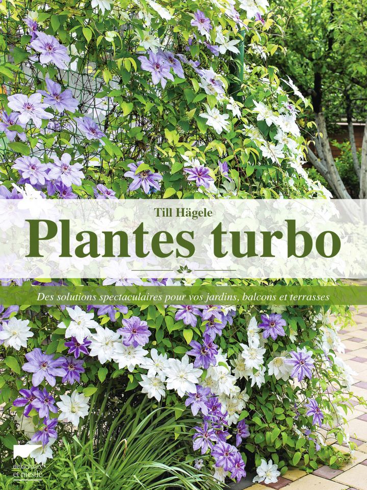 Plantes Turbo (Editions Delachaux et Niestlé)