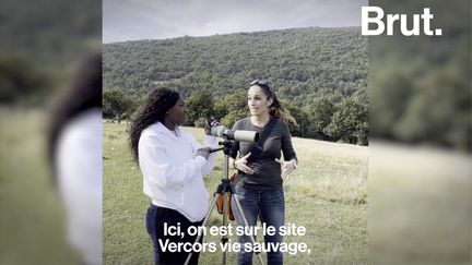 Ici, pas de chasse ni de coupe de bois mais 500 hectares laissés à la nature. Brut a suivi l'actrice et humoriste Fatou Guinea dans la réserve de vie sauvage du Vercors.