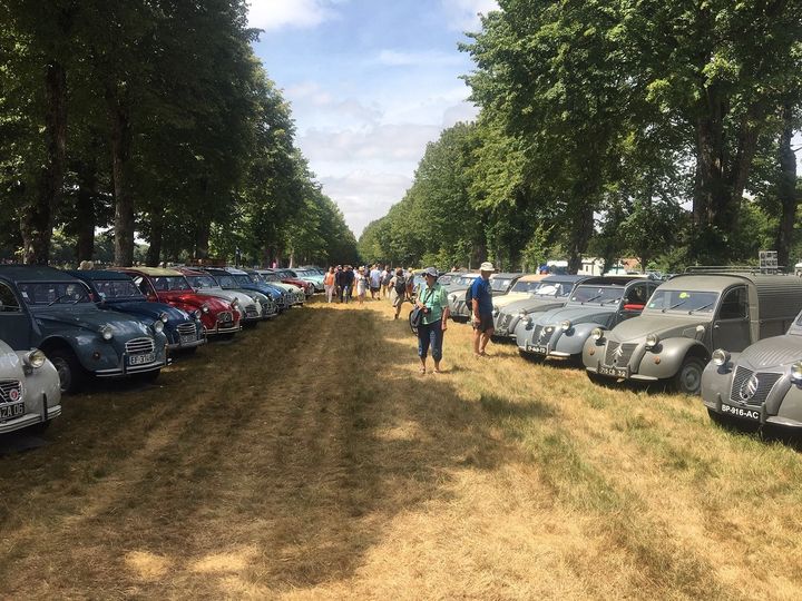 Le rendez-vous des "deudeuches" pour le centenaire de Citroën à la Ferté-Vidame. (SERGE MARTIN FRANCE INFO)