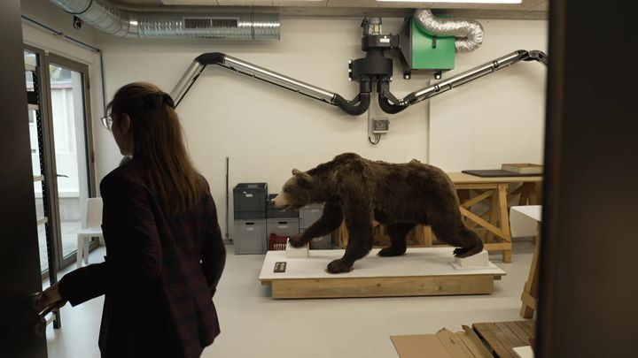 Agathe Jagerschmidt-Séguin dans l'atelier de restauration du musée de Picardie avec un ours naturalisé, ancien pensionnaire du zoo d'Amiens, qui fera partie de l'exposition temporaire. (FRANCE 3 PICARDIE)