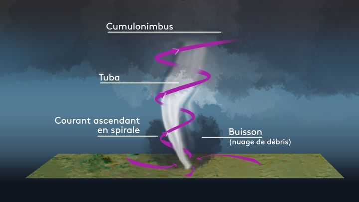 La formation d'une tornade. (STEPHANIE BERLU / RADIO FRANCE / SOURCE METEO FRANCE)