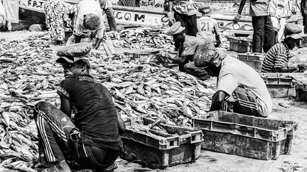 le poisson est de nouveau conditionné en caisse par les journaliers. Ces derniers sont payés à la tâche. Quand elles ont fait une bonne pêche, les très grosses pirogues viennent décharger leurs poissons directement sur les plages, les manœuvres «d’abordage» sont délicates en fonction des marées.  (Nathalie Guironnet)