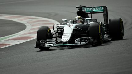 Plein soleil pour Lewis Hamilton (Mercedes) à Mexico (PEDRO PARDO / AFP)