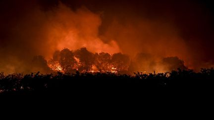 Le réchauffement climatique, provoqué par les gaz à effet de serre, augmente les risques d'incendie, comme&nbsp;ici, au Portugal, le 16 août 2022. (PATRICIA DE MELO MOREIRA / AFP)