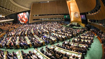 Lors de l'Assemblée générale de l'ONU, à New York, le 19 septembre 2017. (VANESSA CARVALHO / BRAZIL PHOTO PRESS)