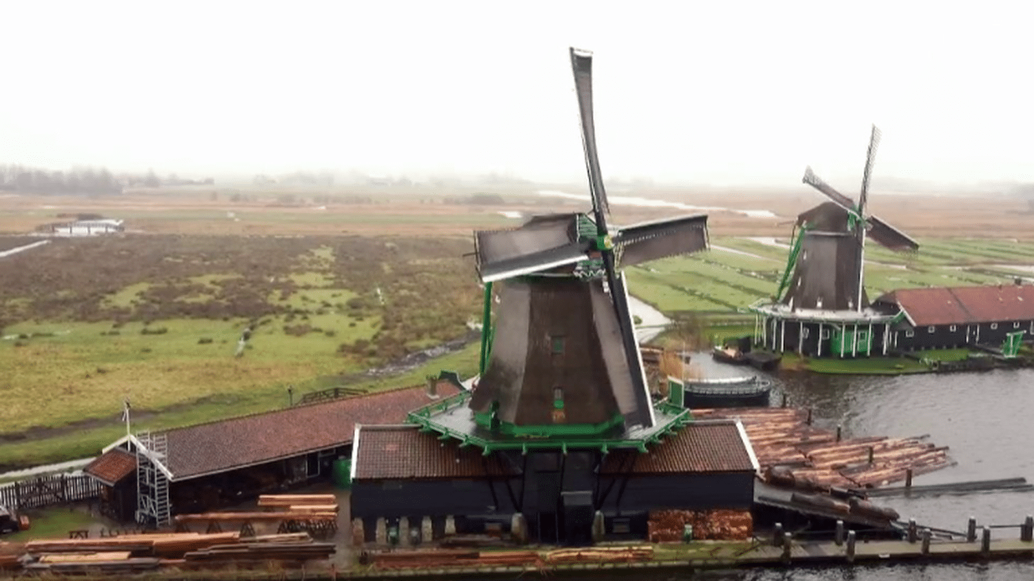 Nederland: Primair land van planten