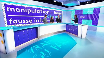 REPLAY. "Vrai ou Fake : les faux infos politiques"