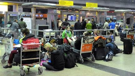 A l'aéroport du Caire (31 janvier 2011) (AFP/Miguel Medina)