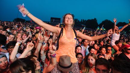 Le public à un concert de l'édition 2013 des Eurockéennes
 (SEBASTIEN BOZON / AFP)