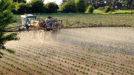 Un agriculteur arrose de pesticides un champ de pommes de terre &agrave; Godewaersvelde, dans le Nord, le 30 mai 2012. (PHILIPPE HUGUEN / AFP)