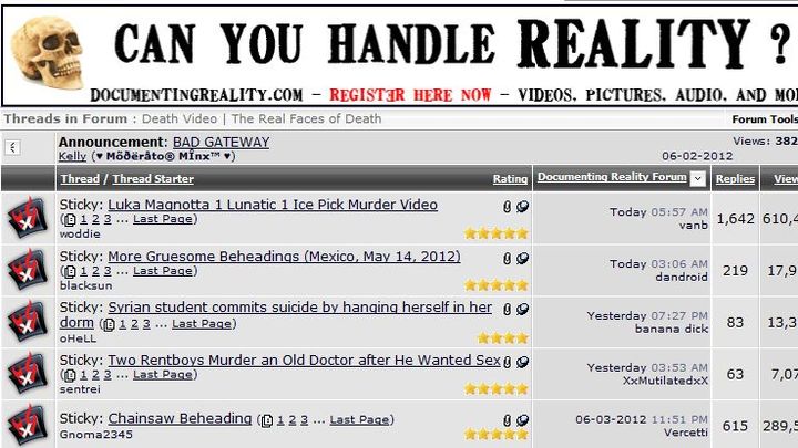 Capture d'&eacute;cran du site internet gore "DocumentingReality.com", sp&eacute;cialis&eacute; dans les images et les vid&eacute;os ultraviolentes. (FTVI)