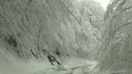 Intempéries : un épisode neigeux remarquable dans l’est de la France (France 3)