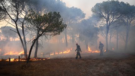 Incendie dans le Var en 2021 : le parquet de Draguignan demande de nouvelles investigations