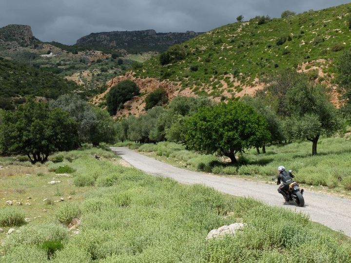 La Tunisie et ses paysages variés, une diversité appréciée des moatrds. (ADPSM POUR FRANCE INFO)