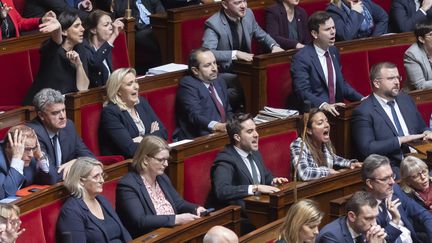 Assemblée nationale : des chercheurs prouvent que l'hémicycle se transforme en scène de spectacle