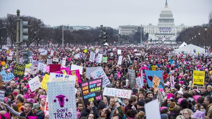 La Marche des femmes le 21 janvier 2017 après l'investiture de Donald Trump à la Maison Blanche. (MAXPPP)